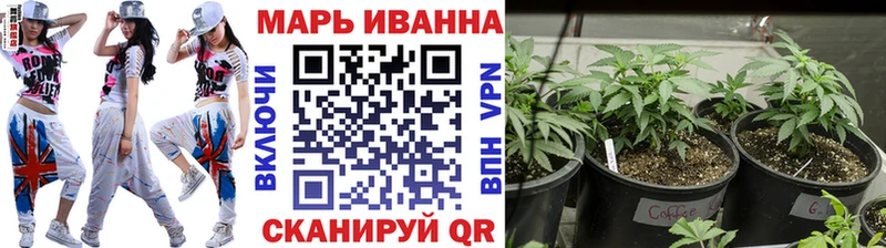 МАРИХУАНА сатива  Липки 